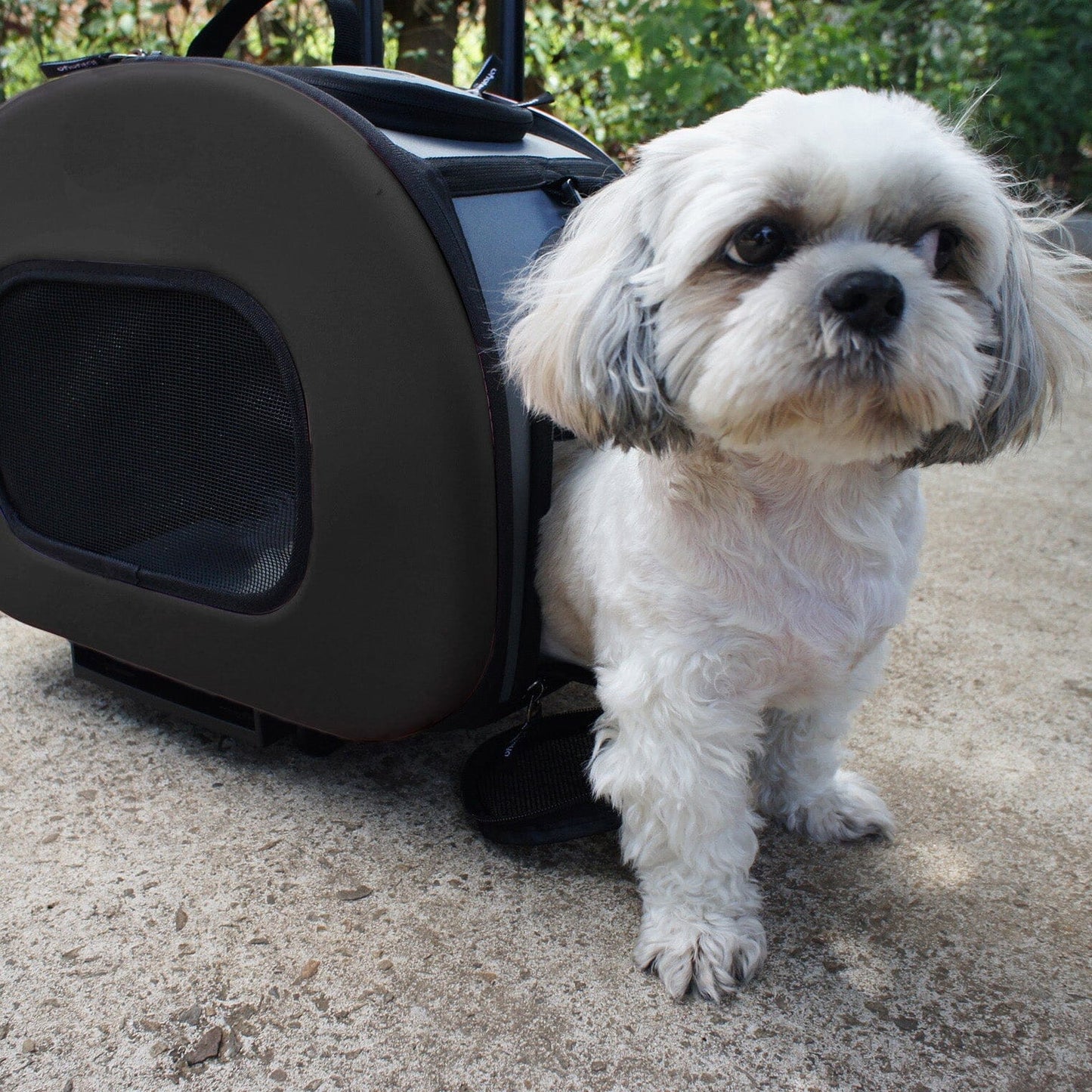 Pet Life ® 'Final Destination' Airline Approved 2-in-1 Tough-Shell Wheeled Collapsible Travel Fashion Pet Dog Carrier Crate