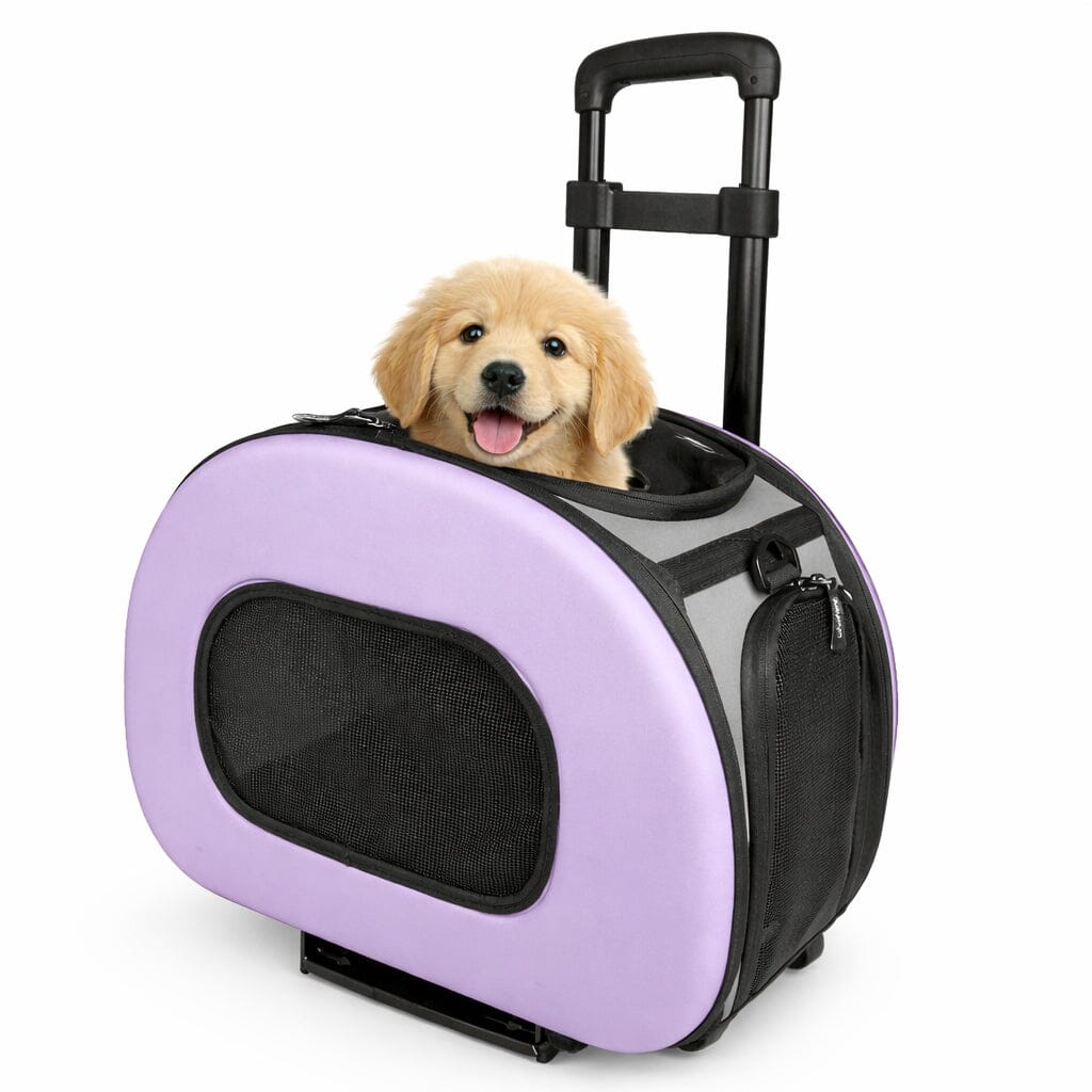 Pet Life ® 'Final Destination' Airline Approved 2-in-1 Tough-Shell Wheeled Collapsible Travel Fashion Pet Dog Carrier Crate
