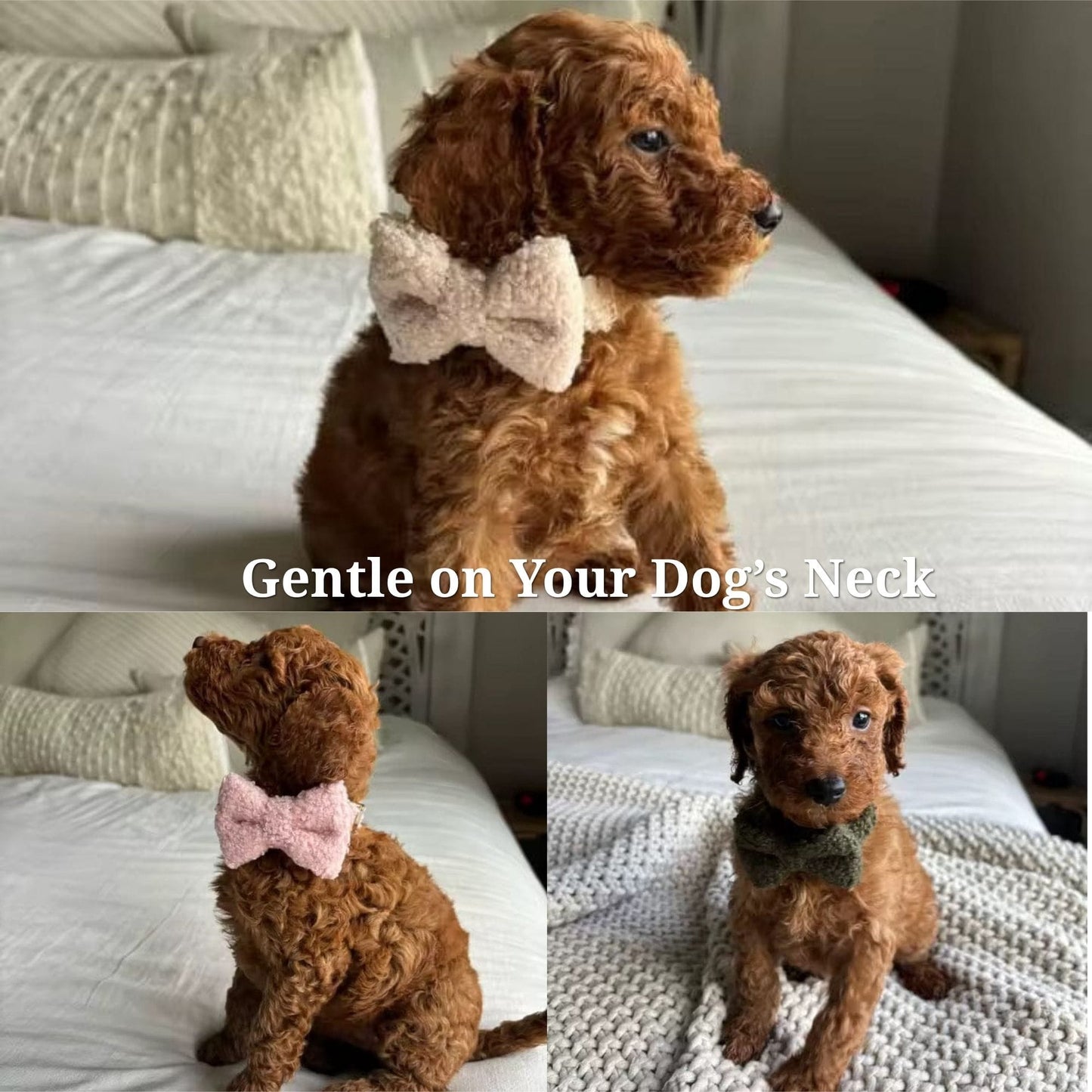 Teddy Purple Set
